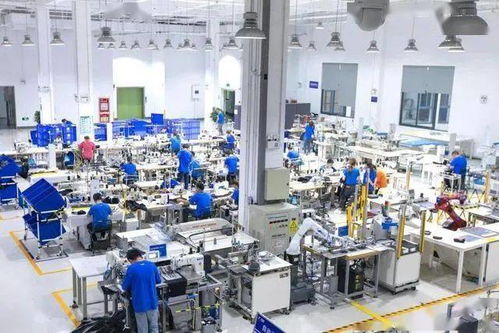 75家上市服企2020年 市值排行榜 釋出重磅信號(hào)